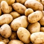 Russet Potato