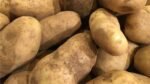 Yukon Gold Potato - Image 4